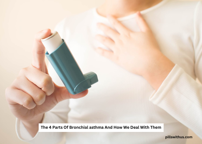 The 4 Parts Of Bronchial asthma And How We Deal With Them